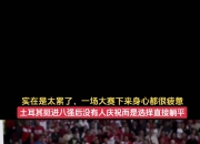 匈牙利队挺进八强，欧洲足球赛惊喜表现的简单介绍